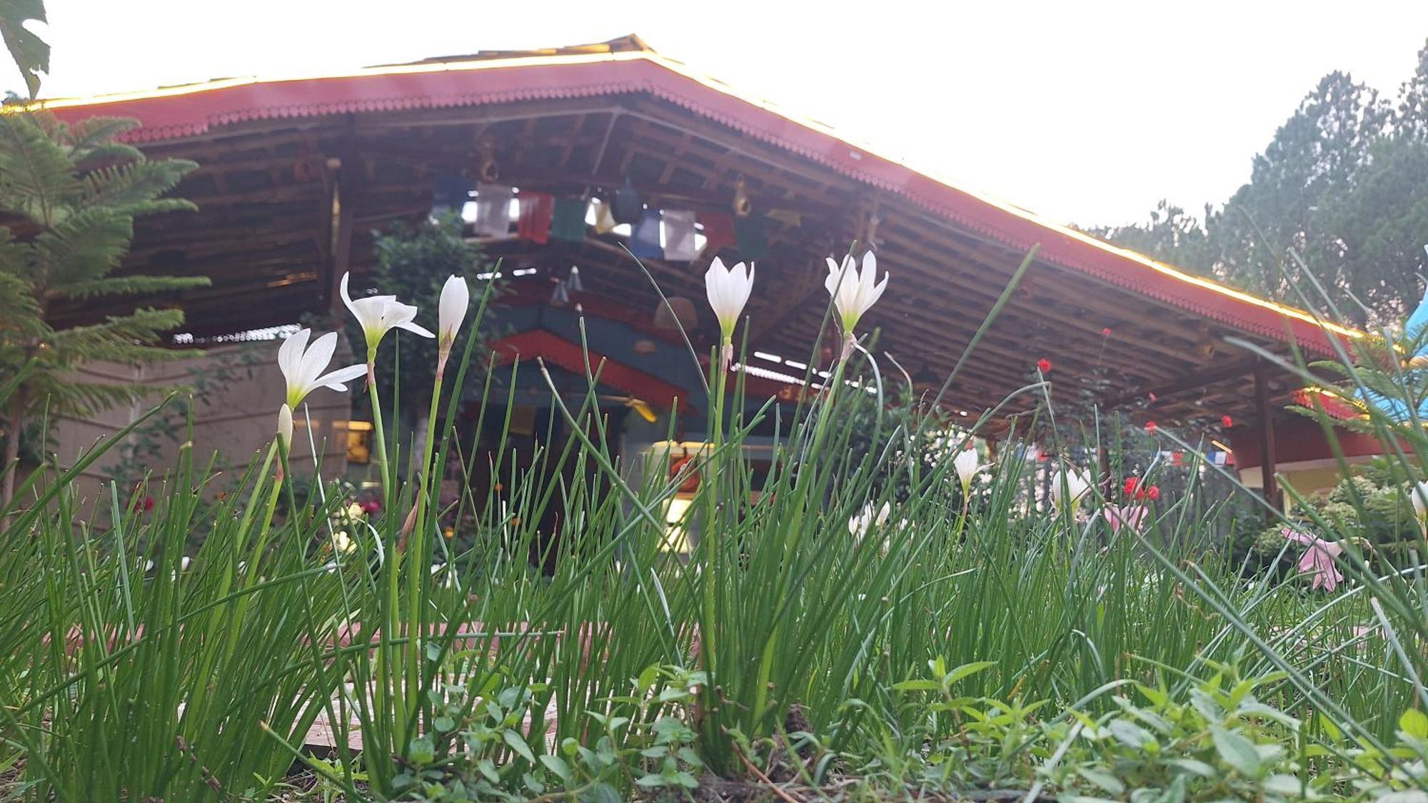 Tathastu Bir -Homestay ,Dorm,Hostel Eksteriør billede